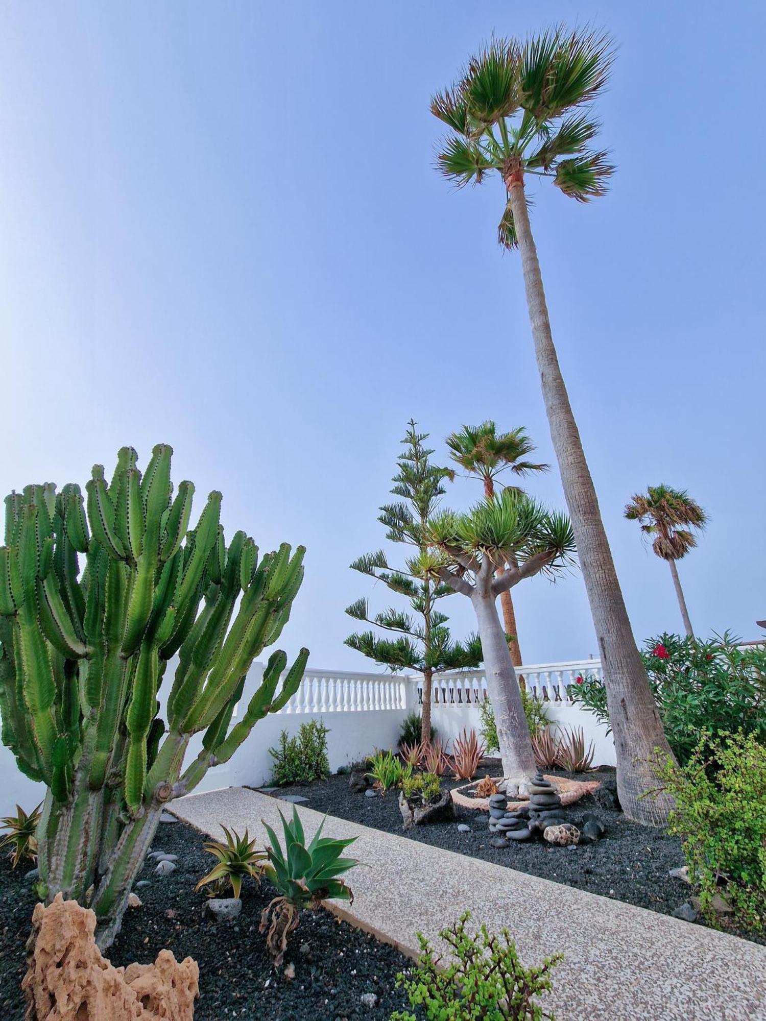 Villa La Maja Beachfront Corralejo Extérieur photo